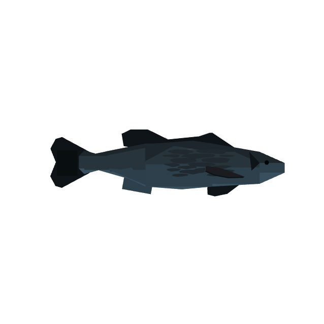 Swamp Bass